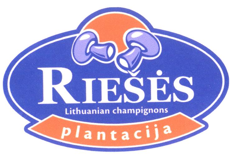 RIEŠĖS plantacija Lithuanian champignons