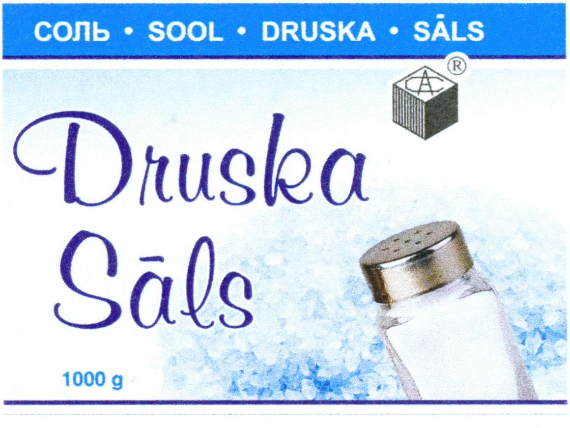 Druska Sals SOL SOOL DRUSKA SALS