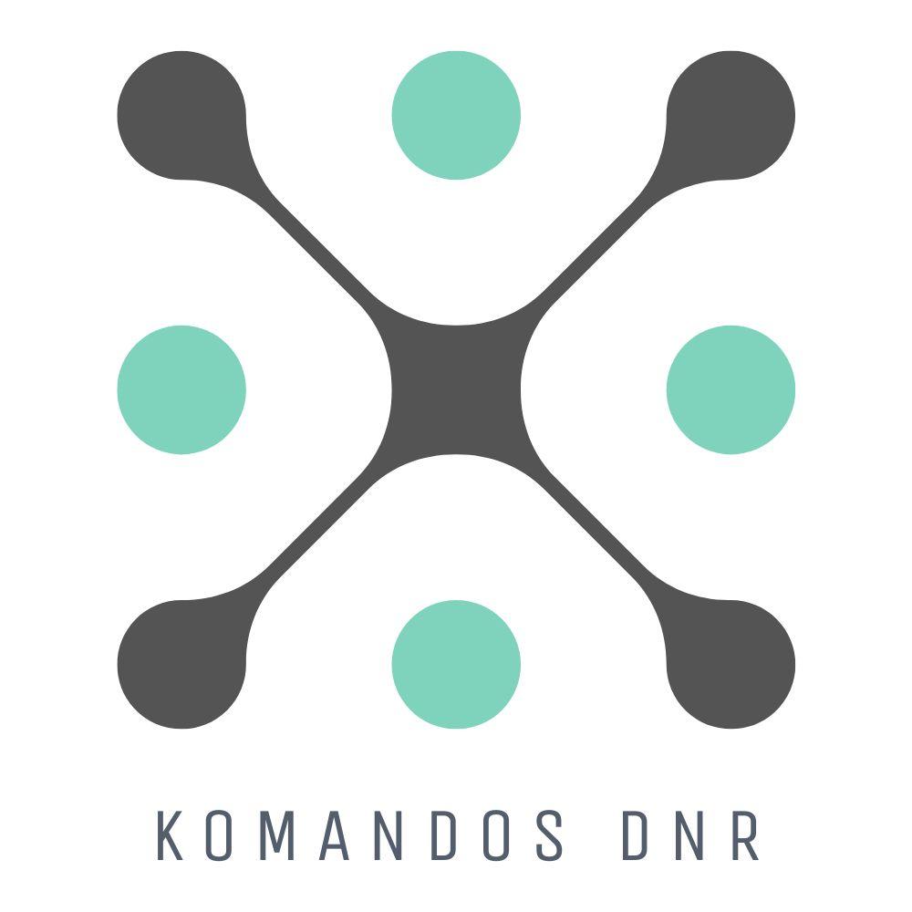 Komandos DNR