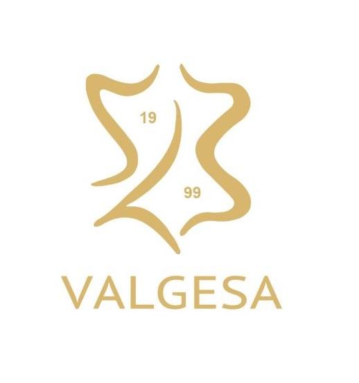 VALGESA 1999